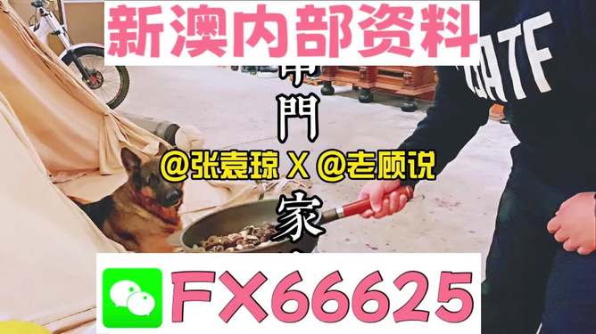 澳門(mén)管家婆資料正版大全——全面解析與深度探索，澳門(mén)管家婆資料正版大全，全面解析與深度探索指南