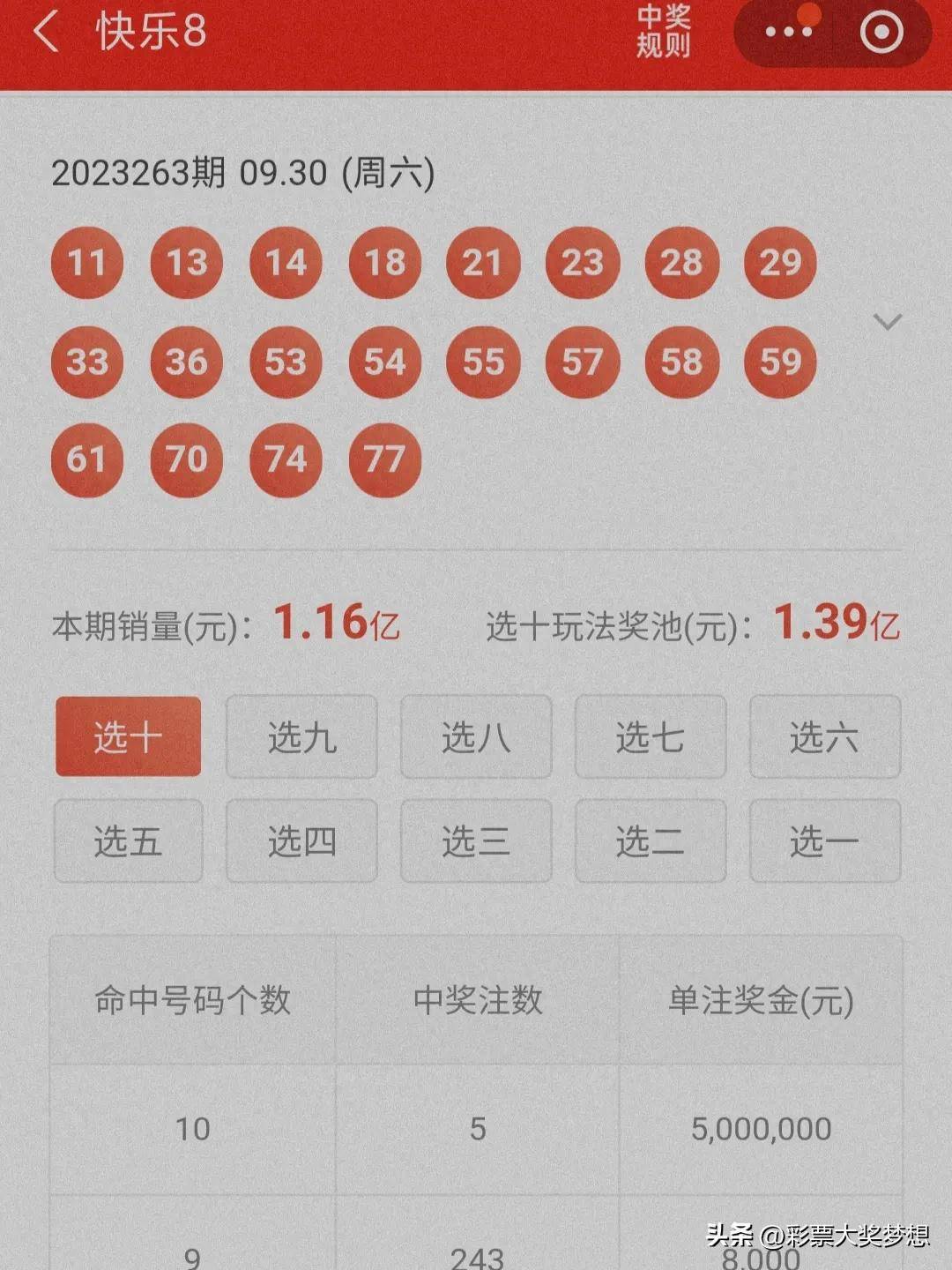 揭秘王中王四肖必中一肖中特，深度解析與SEO優(yōu)化策略，揭秘王中王四肖必中一肖中特，深度解析與SEO策略全攻略