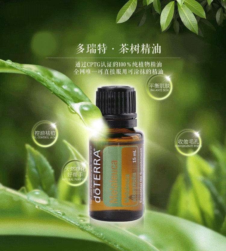茶樹精油的功效與作用，深入了解茶樹精油的多元價值，茶樹精油多元價值揭秘，功效與作用詳解