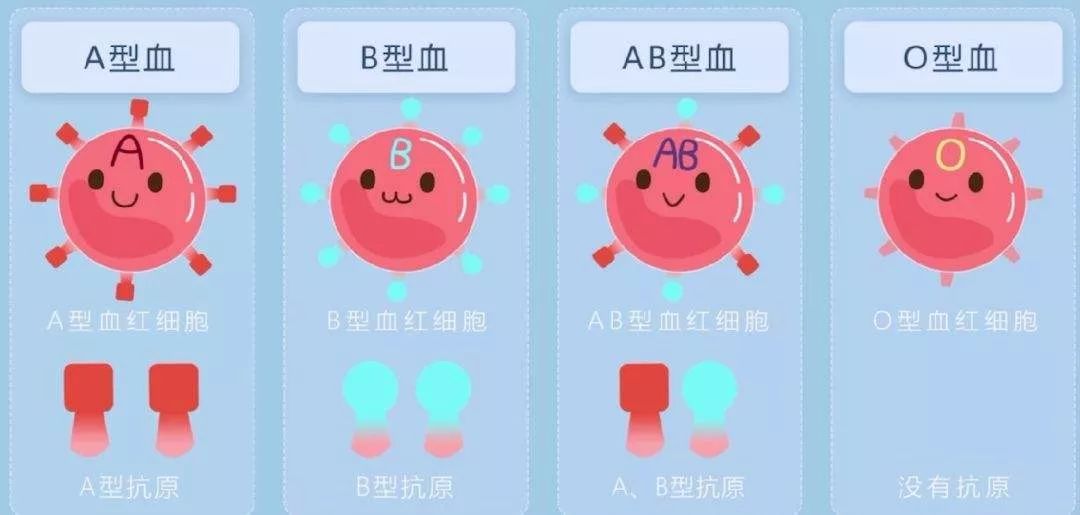 關于血型相克與不孕不育的問題解析，血型相克與不孕不育關系解析