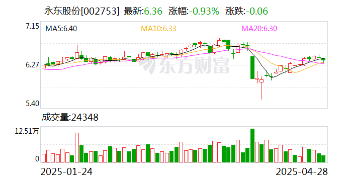 永東股份，引領(lǐng)行業(yè)前沿，塑造卓越未來(lái)，永東股份，引領(lǐng)行業(yè)先鋒，塑造卓越未來(lái)之路