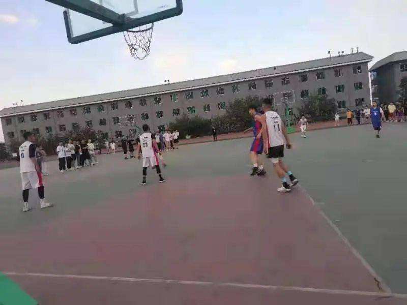 澳門二四六天下彩天天免費(fèi)大全——全面解析澳門彩票文化，澳門彩票文化全面解析，二四六天下彩免費(fèi)大全