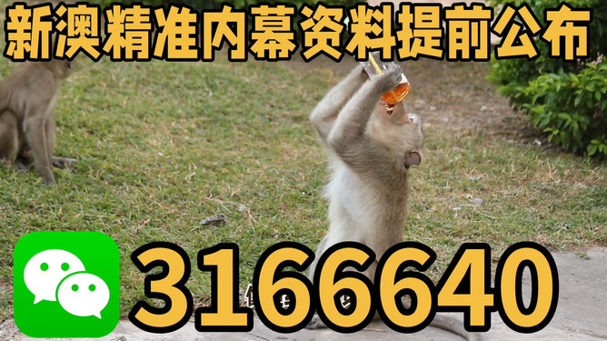 探索澳門特馬文化，四不像的獨(dú)特魅力與未來展望（關(guān)鍵詞，澳門特馬四不像），澳門特馬四不像文化深度探索，魅力、展望與未來發(fā)展