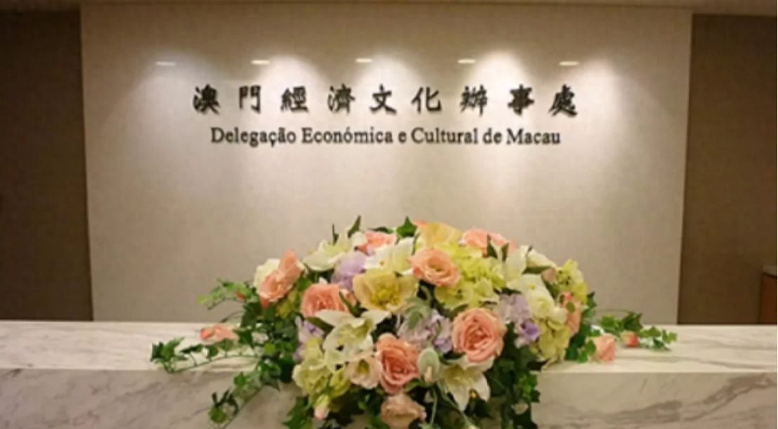 澳門一碼一肖一待一中四不像——揭開神秘面紗下的真相，澳門神秘事件揭秘，一碼一肖一待一中四不像真相探索