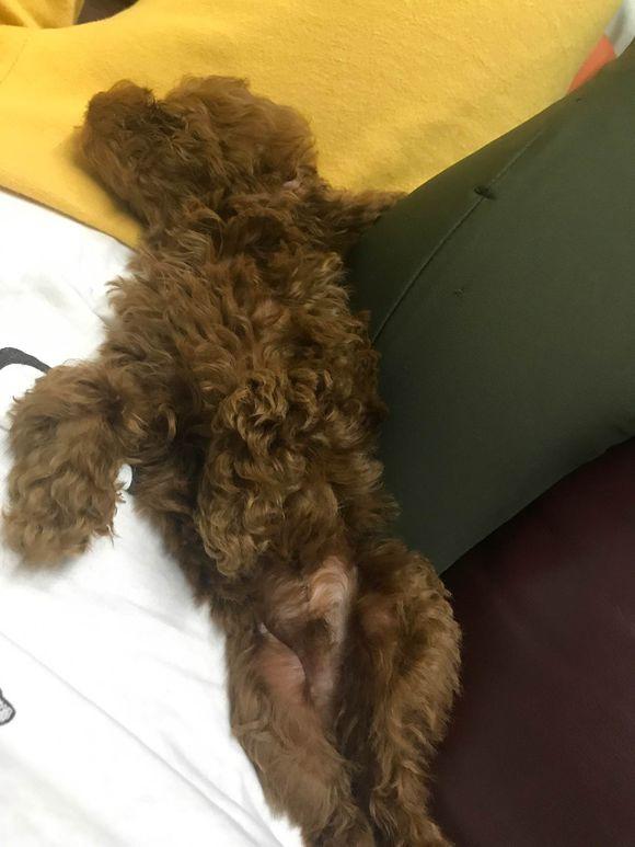 揭秘項目半途而廢背后的原因，為何做到一半會變軟？，揭秘項目半途而廢的原因，為何進(jìn)展到一半會遭遇軟化？