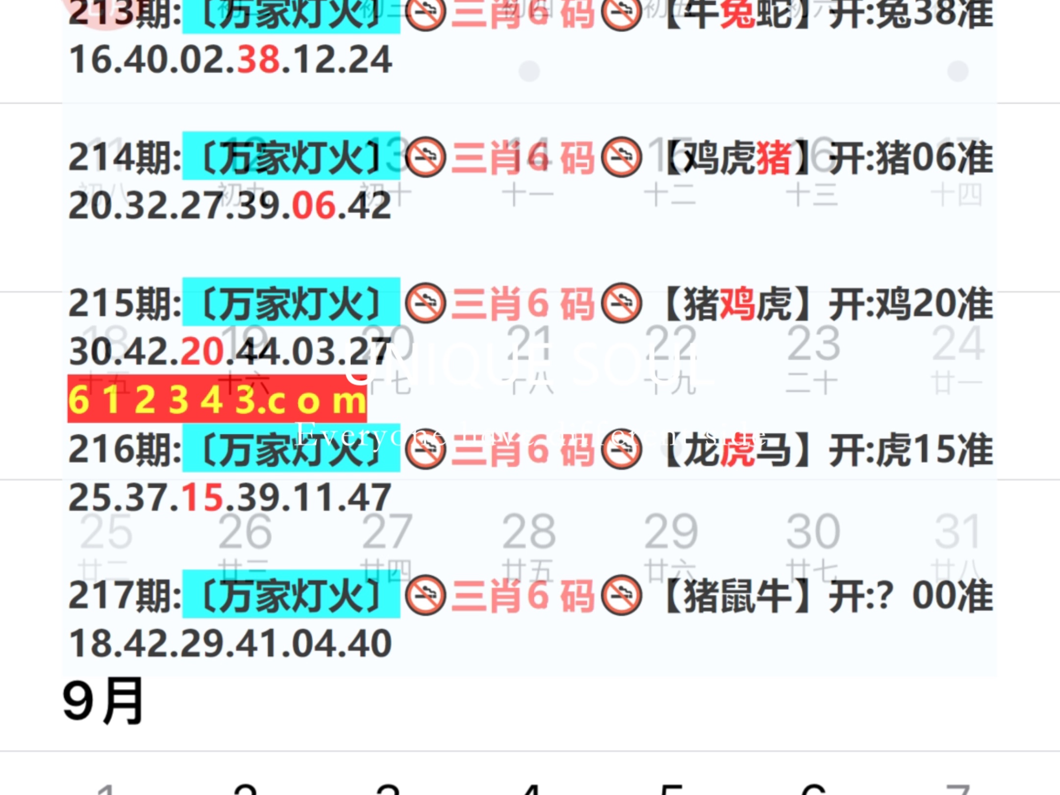 新澳門(mén)期期免費(fèi)資料——探索澳門(mén)博彩文化的深度與廣度，澳門(mén)博彩文化深度與廣度探索，新澳門(mén)期期免費(fèi)資料揭秘