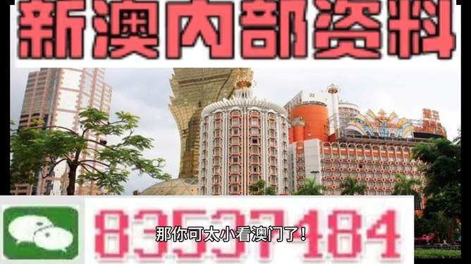 新澳新澳門正版資料，探索與解析，新澳新澳門正版資料深度解析與探索