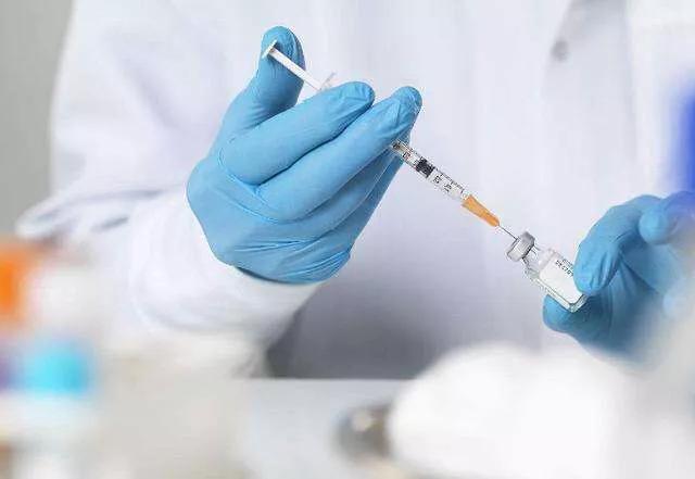 免疫球蛋白，了解其功能、作用與應用，免疫球蛋白，功能、作用與應用解析