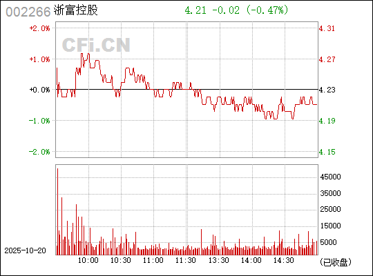 浙富控股股票，深度解析與前景展望，浙富控股股票深度解析與未來前景展望