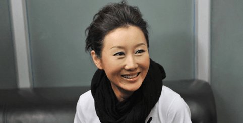 孫楠老婆潘蔚資料大全，孫楠妻子潘蔚資料概覽