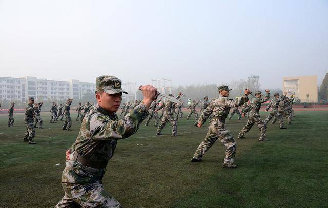 解析軍士長(zhǎng)為何不升軍官，背后的原因與考量，解析軍士長(zhǎng)晉升停滯背后的原因與考量，為何未能成為軍官？