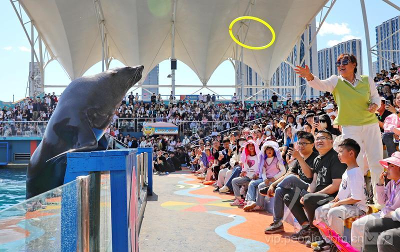 新澳2025今晚開獎(jiǎng)結(jié)果揭曉，期待與驚喜并存，新澳2025今晚開獎(jiǎng)結(jié)果揭曉，期待與驚喜交織的時(shí)刻