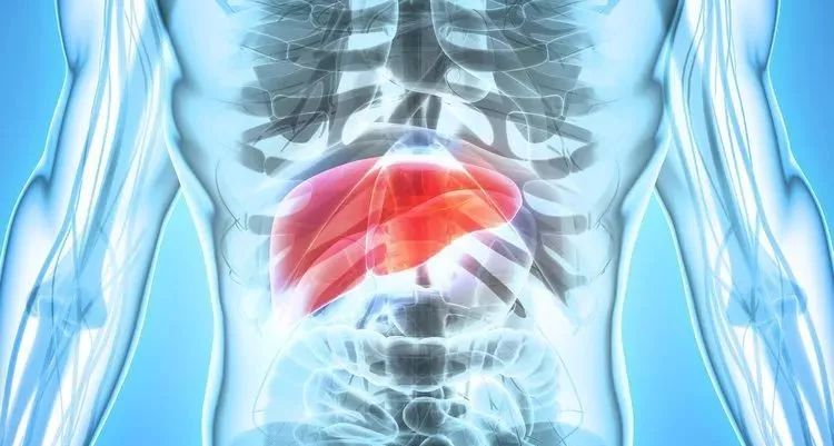 肝不好有什么癥狀，全面解析與關(guān)注，全面解析關(guān)注，肝臟不良癥狀的表現(xiàn)