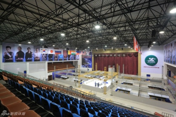 王中王一肖一馬中特平臺(tái)，探索與解析，王中王一肖一馬中特平臺(tái)深度探索與解析