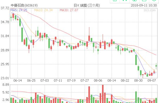 揭秘603619股票，潛力股的投資價值與前景展望，揭秘603619股票，潛力股的投資價值深度分析與前景展望