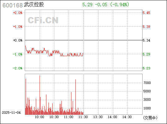 武漢控股股票（股票代碼，600168）深度解析，武漢控股股票（股票代碼600168）全面深度解析