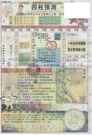 王中王動物一肖圖，深度解析與SEO優(yōu)化，王中王動物一肖圖深度解析與SEO優(yōu)化策略探討