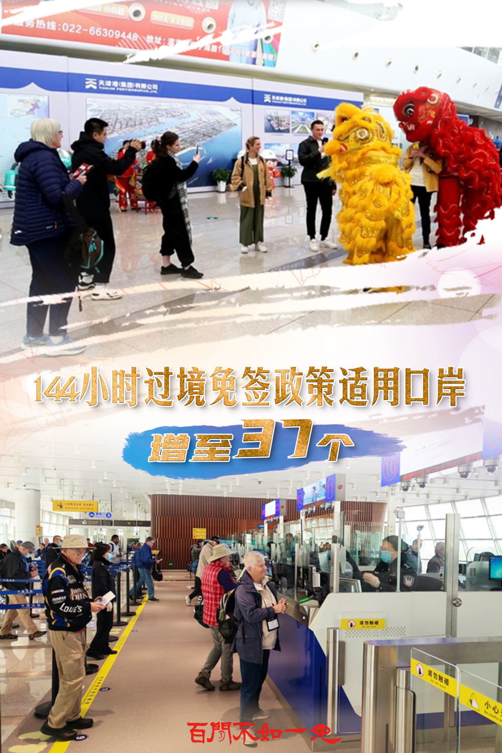 澳門王中王，揭秘一肖一特一中奧秘，澳門王中王揭秘生肖秘密，一肖一特一中奧秘探秘