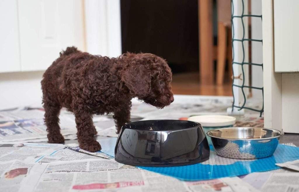 除口臭最好最有效的牙膏，選擇最佳口腔清潔伙伴，告別口臭尷尬，告別口臭尷尬，尋找最有效的口腔清潔伙伴，選擇最佳牙膏守護(hù)口腔健康