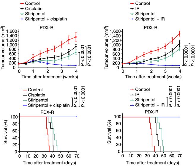 乳酸脫氫酶偏高的原因及其影響，乳酸脫氫酶偏高原因及其影響解析
