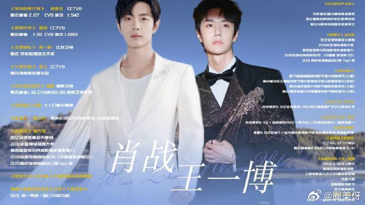 王中王一肖資料詳解，王中王一肖資料大全解析