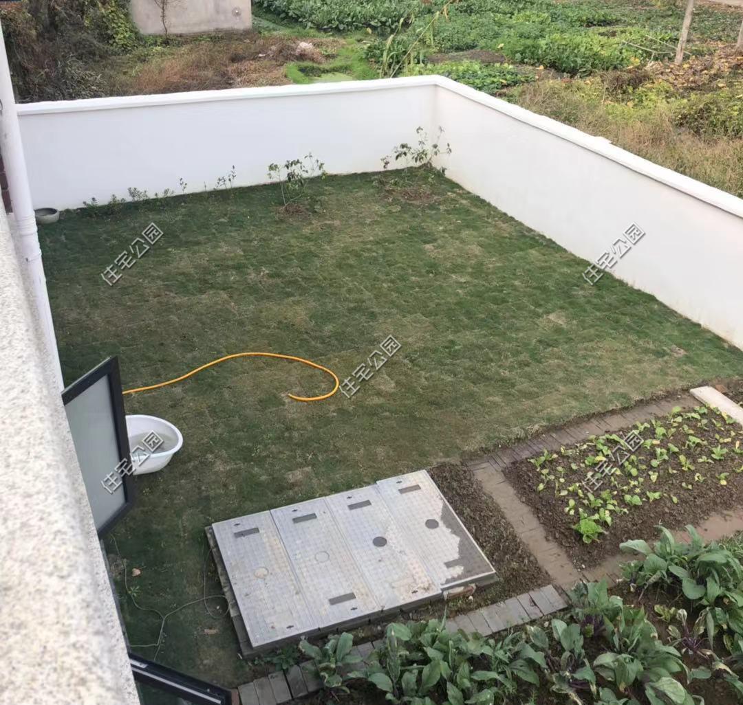 一肖中2碼，揭秘彩票背后的秘密與策略，揭秘彩票背后的策略與秘密，一肖中兩碼解析