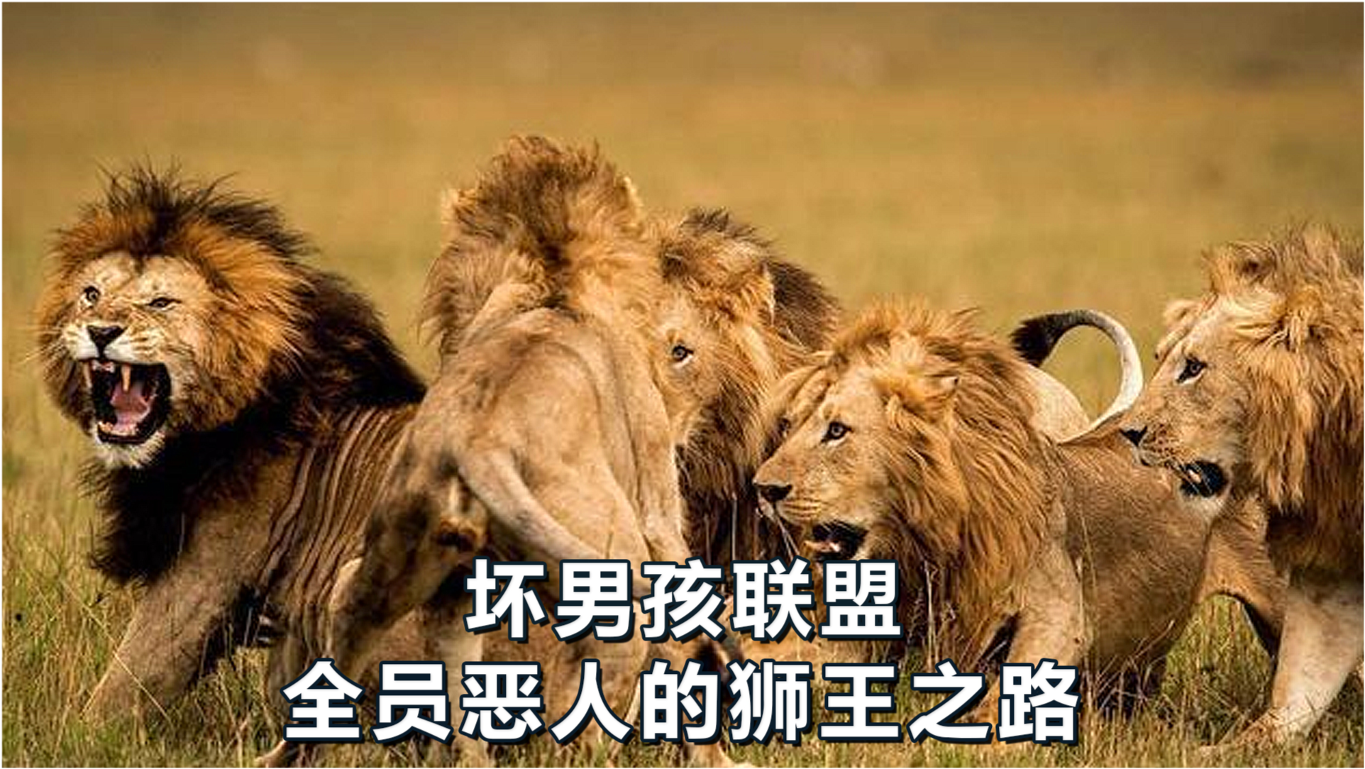 王中王必中一肖四不像圖——深度解析與探索，王中王必中一肖四不像圖深度解析與探索揭秘