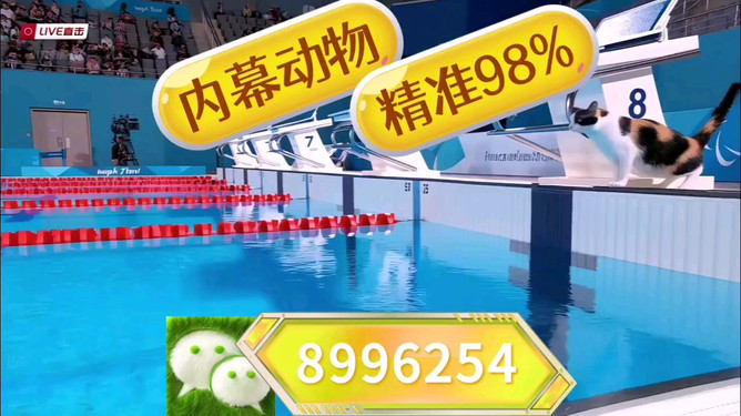 王中王特馬中心一肖囹，探索與解析，王中王特馬中心一肖囹，深度探索與解析