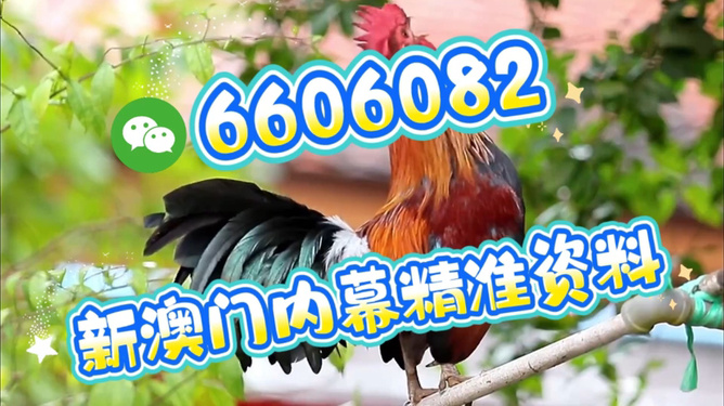 澳門特馬今天開獎(jiǎng)結(jié)果，揭秘彩票背后的秘密，澳門特馬今天開獎(jiǎng)結(jié)果揭秘，彩票背后的秘密大揭曉