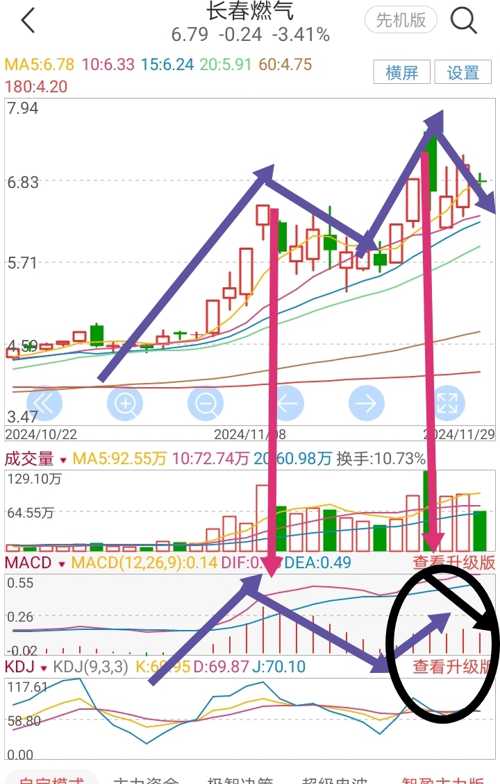 探索600333長春燃?xì)夤砂傻莫?dú)特魅力與機(jī)遇，揭秘600333長春燃?xì)夤砂?，?dú)特魅力與無限機(jī)遇