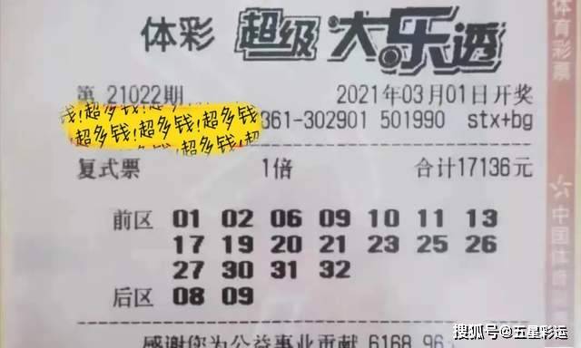 一肖三碼王中王，揭秘背后的秘密與策略，揭秘一肖三碼王中王的秘密與策略