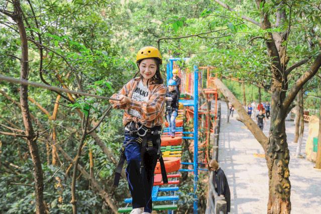 廈門觀音山游樂場項目，探索與體驗的獨特魅力，廈門觀音山游樂場，獨特魅力的探索與體驗之旅
