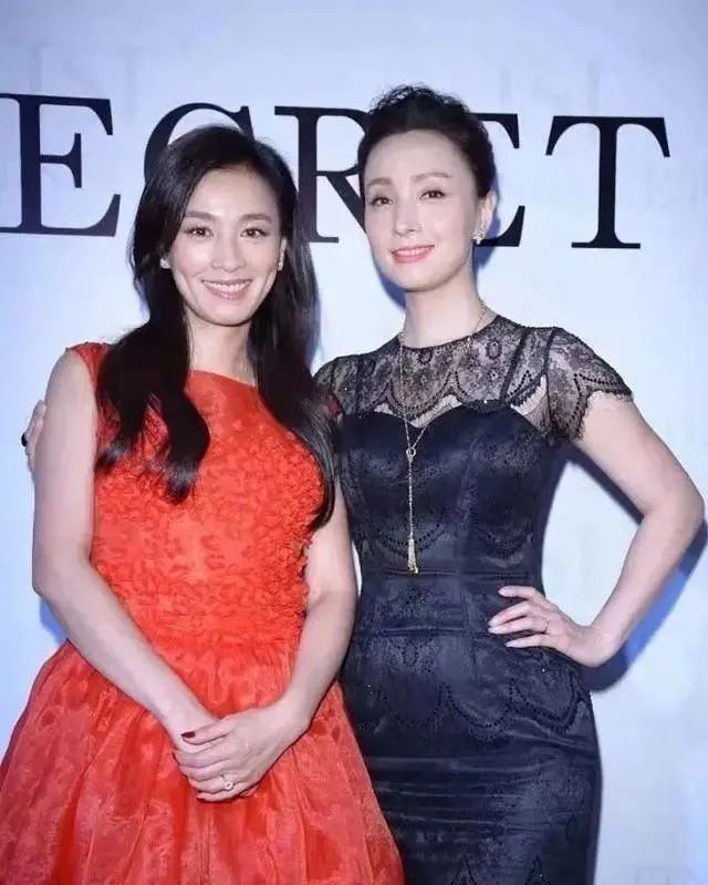 陶虹事件最新消息全面解析，陶虹事件最新動態(tài)全面解讀