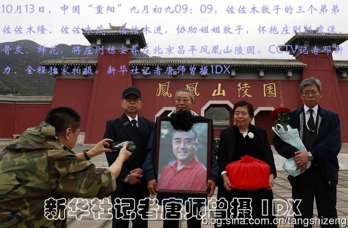 一肖出特王中王選，深度解析與SEO優(yōu)化策略，一肖出特王中王選，深度解析及SEO優(yōu)化策略全攻略