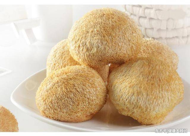 猴頭菇，功效、作用及食用方法詳解，猴頭菇，功效、作用及食用方法全面解析