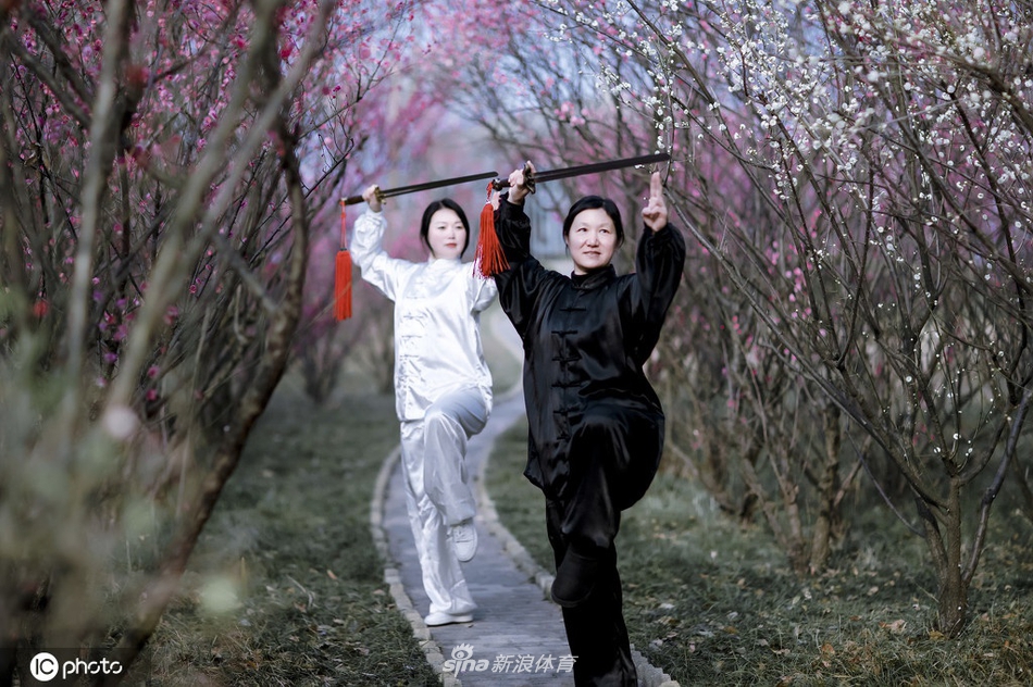 揭秘劉伯溫一期一肖期期中的奧秘與真相，劉伯溫一期一肖期奧秘與真相揭秘