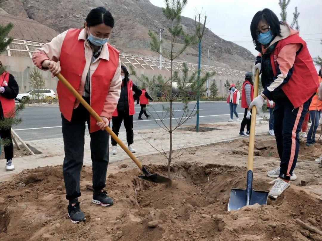 天下彩天天空彩資料免費(fèi)大全管家，探索與解析，天下彩天天空彩資料大全管家，深度探索與解析