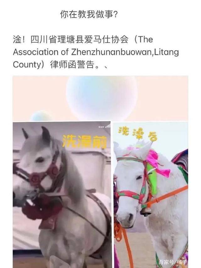 一馬爆特圖，揭秘背后的故事與SEO優(yōu)化策略，揭秘一馬爆特圖的背后故事與SEO優(yōu)化策略全攻略