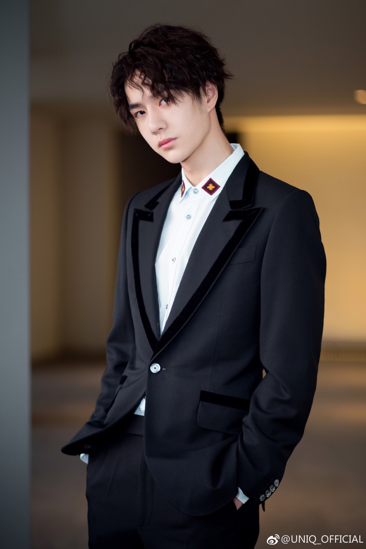 葡京王中王，一肖中特——揭秘賭場傳奇與生肖運勢的奇妙結(jié)合，葡京王中王，揭秘賭場傳奇與生肖運勢的神秘交融