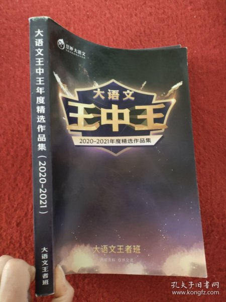 揭秘2021王中王資料一肖中v，深度解析與前瞻，揭秘與深度解析，王中王資料一肖中v的前瞻報告（2021版）