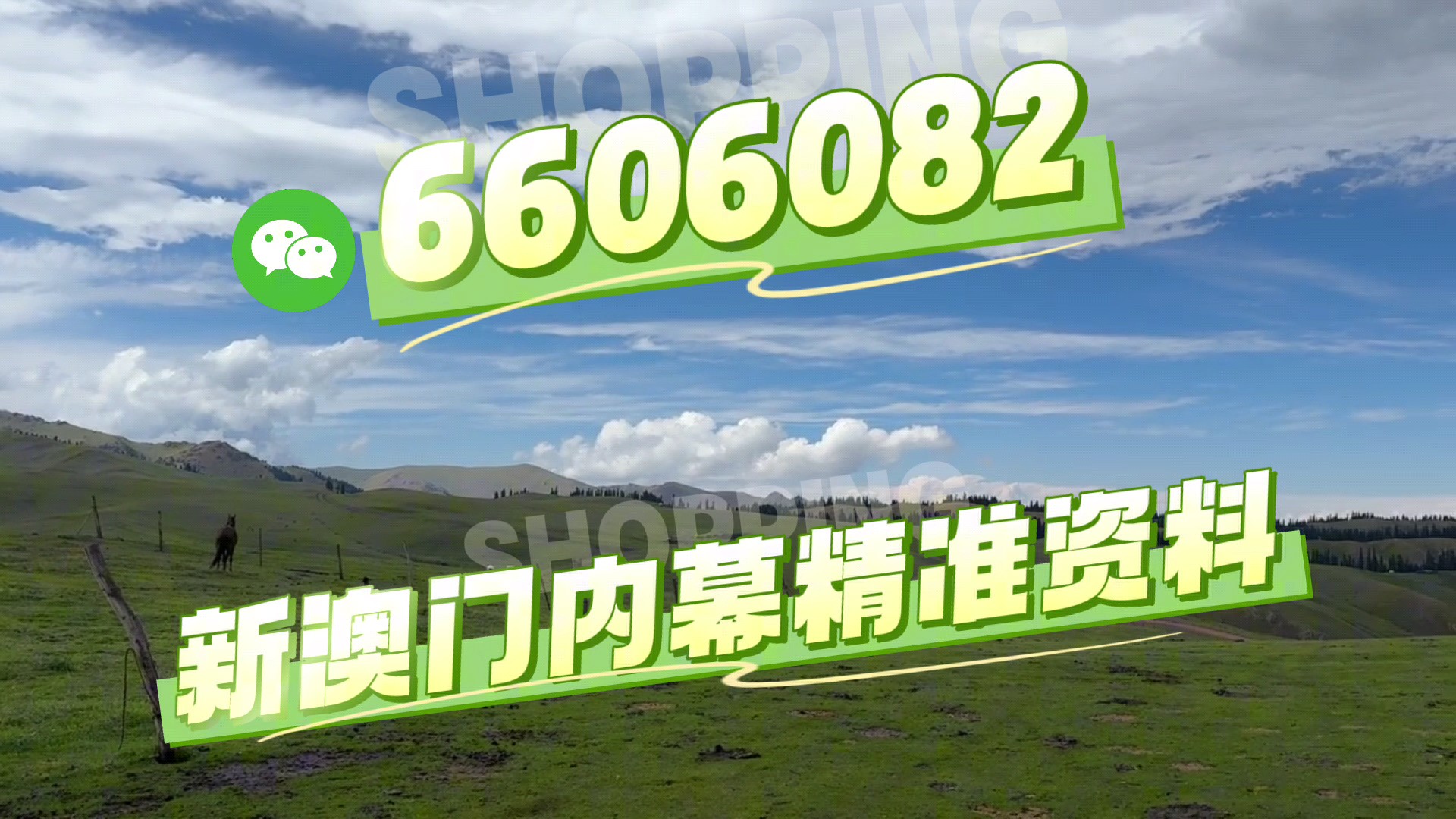 最快澳門今晚必中一肖一碼2025王中王開獎十，揭秘彩票背后的秘密與策略，揭秘彩票背后的秘密與策略，澳門今晚必中一肖一碼王中王開獎預測（2025年）