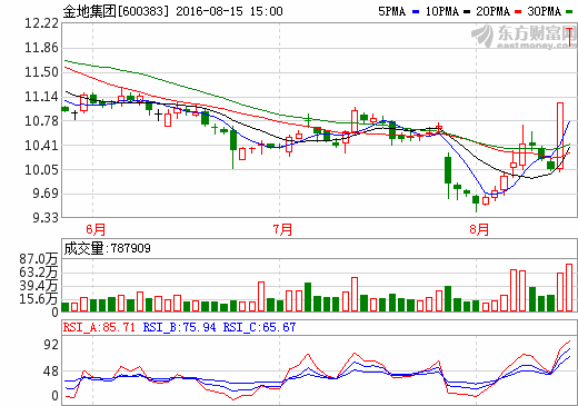 關(guān)于600383的最新消息全面解析，600383最新消息全面解析
