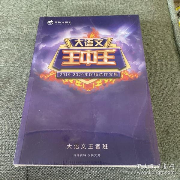 王中王資料2019一肖，深度解析與最新資訊，王中王資料2019一肖深度解析與最新資訊匯總