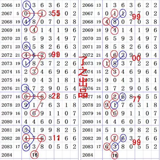 王中王三肖選一碼，揭秘背后的秘密與策略，揭秘王中王三肖選一碼背后的秘密與策略之道