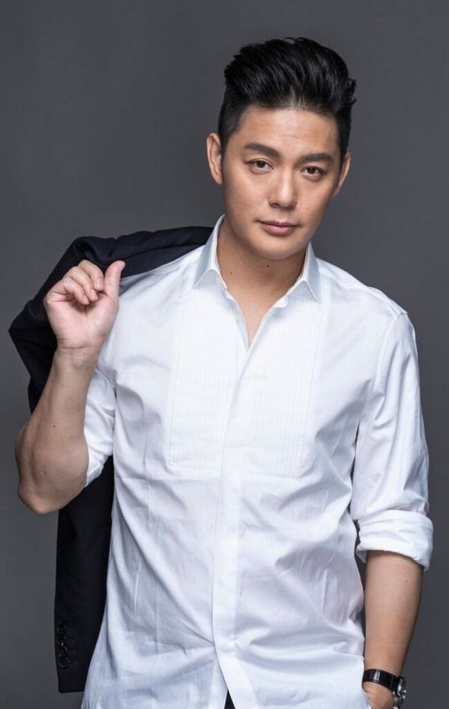 傅程鵬主演的電視劇大盤點，精彩紛呈的角色塑造與深度劇情解析，傅程鵬主演電視劇盤點，角色塑造精彩紛呈與深度劇情解析