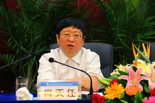 王中王資科一肖中持天，深度解析與SEO優(yōu)化策略，王中王資科一肖中持天深度解析與SEO優(yōu)化策略探討