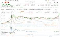 探索股市新星，600221股吧的獨(dú)特魅力與投資機(jī)會(huì)，揭秘股市新星，探索600221股吧的獨(dú)特魅力和投資機(jī)會(huì)