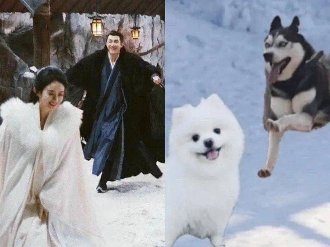 林更新趙麗穎，星光熠熠，共譜影視傳奇，林更新趙麗穎，星光熠熠，影視傳奇之戀