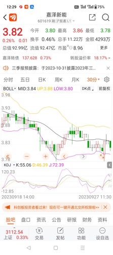 嘉澤新能源股票，投資前景深度解析，嘉澤新能源股票投資前景深度解析