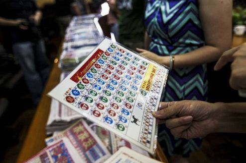 王中王的一肖中特馬——探尋背后的奧秘與魅力，王中王一肖特馬背后的奧秘與魅力探尋